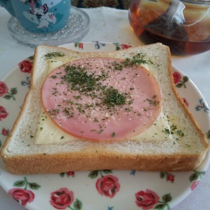 普通のロースハムにて失礼します
ドライパセリとチーズもたっぷりかけて朝食でいただきました
美味しかったです
(◠‿◕)